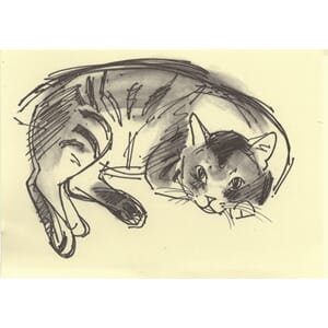 Kort Two Bad Mice: Taro - Wide Awake