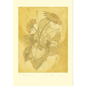 Kort Two Bad Mice: Doronicum