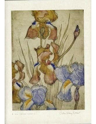 Kort Two Bad Mice: Irises