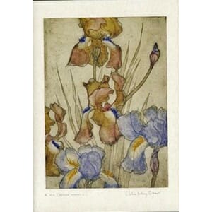 Kort Two Bad Mice: Irises