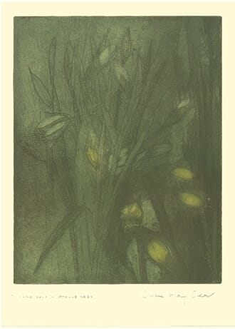 Kort Two Bad Mice: Narcissus - Spellbinder