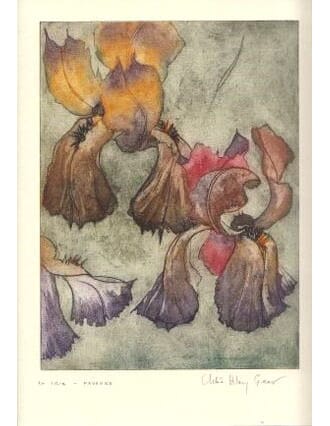 Kort Two Bad Mice: Chloe Hilary Gear