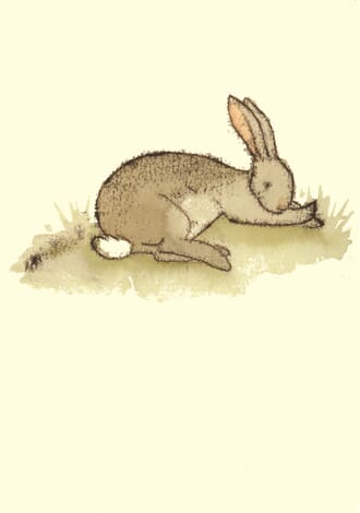 Kort Two Bad Mice: A contented Bunny