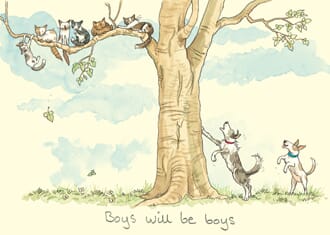 Doble kort Two Bad Mice, 100x150: Boys will be Boys