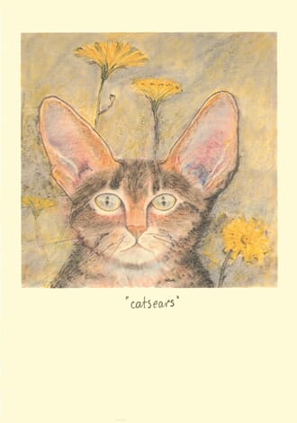 Kort Two Bad Mice: Catsears